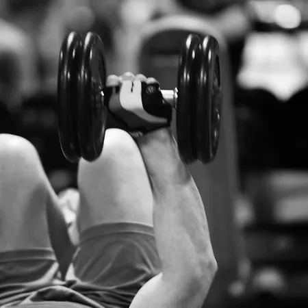 Torresport Torrelavega