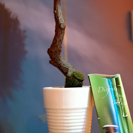 Szálloda Torresport